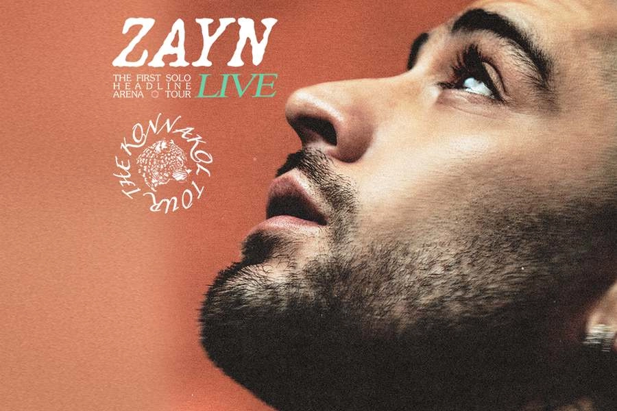 Capa ZAYN